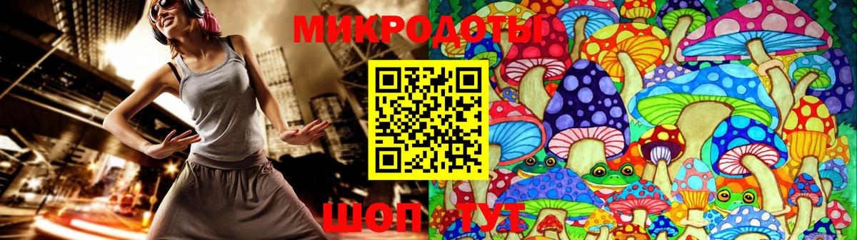 купить наркотик  Вход с VPN  Кудрово  Псилоцибиновые грибы Magic Shrooms 