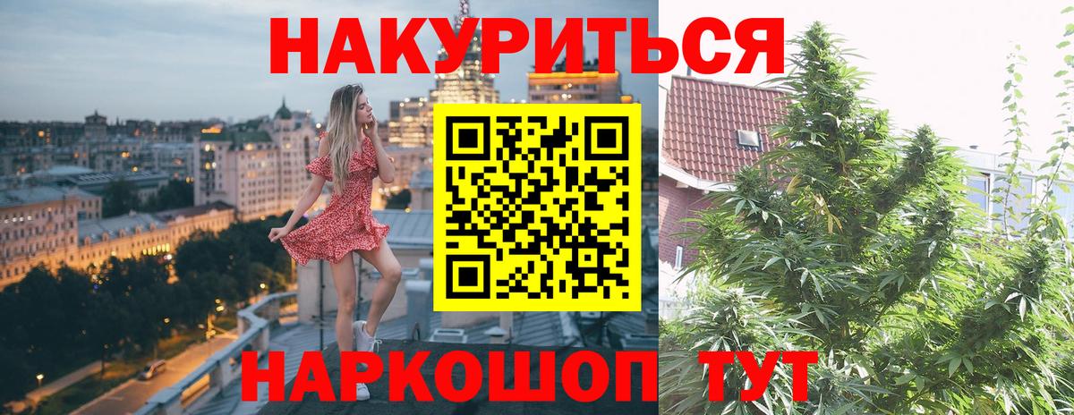 Каннабис план Кудрово